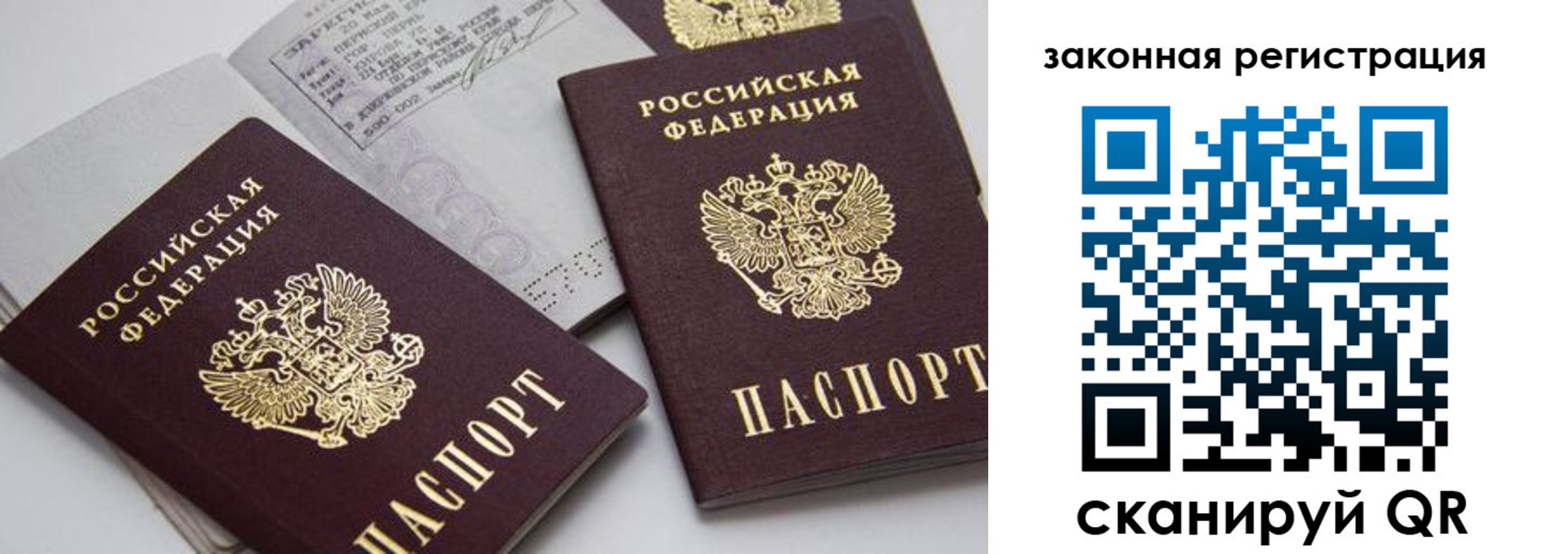 временная регистрация гарантия в Зее